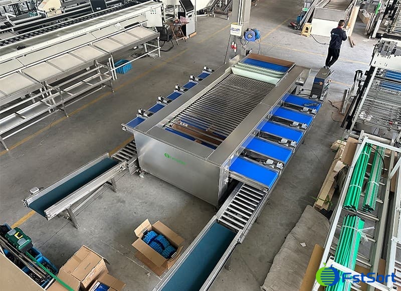 images/1712907862495lychee grading equipment.jpg